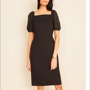 Eyelet Mixed Media Square Neck Sheath Dress